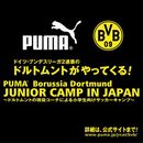 ドルトムントジュニアキャンプを東京と横浜で開催!