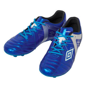 アクセレイターBLSV ブルー×シルバー.jpg