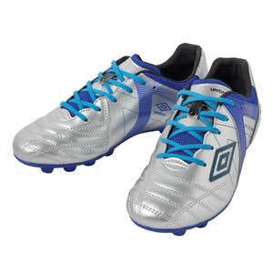 アクセレイターSVBL シルバー×ブルー.jpg