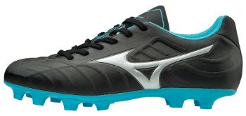 mizuno170724.jpg